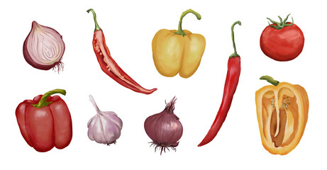 Watercolor food illustrations set. Fresh vegetables watercolor set. Tomato, onion, garlic, bell pepper, chilli pepper