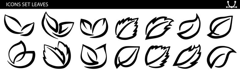 A set of leaves on a white background, for logos, designs, for the symbolism of the green planet