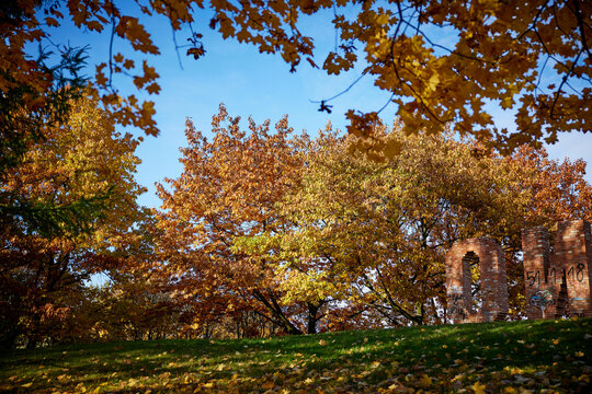 Jesienny park Br&oacute;dnowski