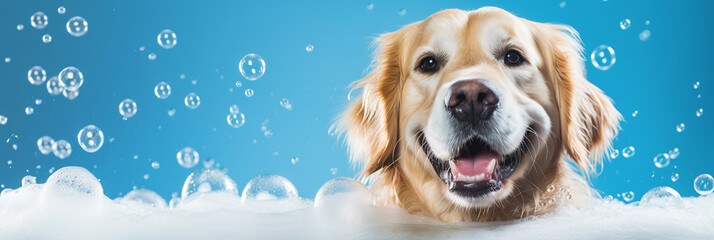 Cheerful Golden Retriever dog immersed in sudsy bath with floating bubbles - grooming and pet care. AI Generative