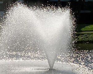 fountain in the park - 699570392
