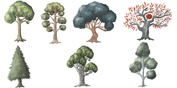 Watercolor trees set illustration, hand drawn for architecture or decorative png