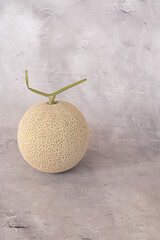 コンクリート背景のマスクメロン　縦