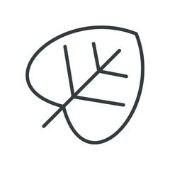 Leaf icon vector on trendy design