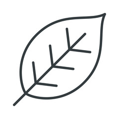 Leaf icon vector on trendy design
