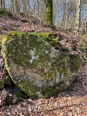 moss covered stone