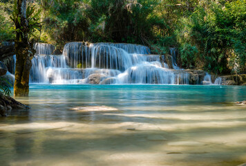 Fototapeta premium Tat Kuang Si Waterfall in Luang Prabang Laos