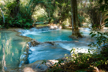 Fototapeta premium Tat Kuang Si Waterfall in Luang Prabang Laos