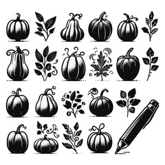Set of pumpkin silhouettes isolated on a white background, Vector illustration.