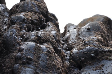 close up of a rock