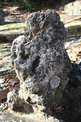 Roca antigua con detalles encontrada en jardin