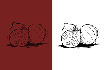 Bombay onion hand drawn illustration