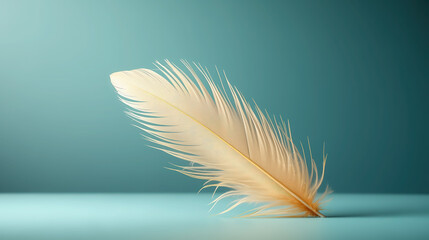 Single light feather on teal backdrop.