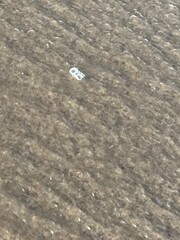 textura del agua de mar en la costa atlántica argentina