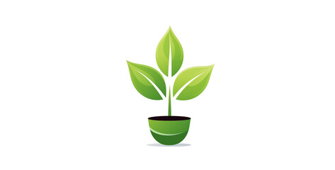 Fototapeta na wymiar green plant potted icon green leaf green plant, plant in a pot