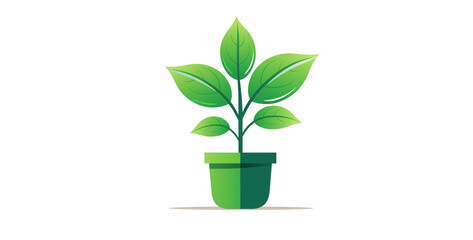 green plant potted icon green leaf green plant, plant in a pot
