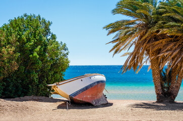 old yacht on the sand on the shore among the palm trees and trees in the background of the sea in...