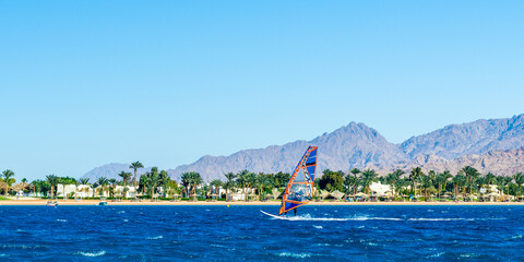 windsurfer rides in the sea on the background of the beach with palm trees and high rocky mountains in Egypt Dahab