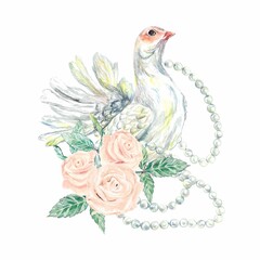 White dove pink roses watercolor. Peace symbol bird illustration isolated on white background. Wedding invitations, cards, envelopes, Valentines Day.