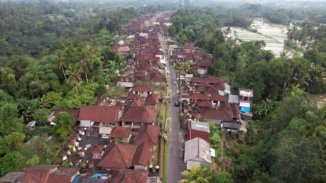 Elongated village with house compounds build along one road. Aerial shot of typical Balinese settlement in Gianyar regency. Forested tropical ravines on left and right sides, some rice fields