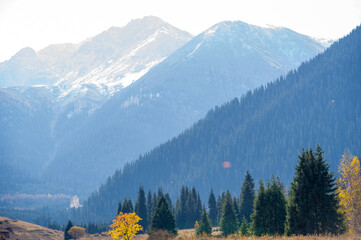 Experience the mystical charm of the Tien Shan spruce forests. Immerse yourself in the beauty of...