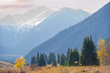Explore the enchanting spruce forests of the Tien Shan. Experience the vibrant autumn colors of the...