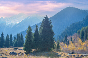 Enjoy the breathtaking beauty of nature in autumn. Vibrant foliage and evergreen pines create a...
