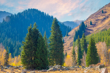 Experience the beauty of nature's symphony in bright autumn colors. Immerse yourself in the...
