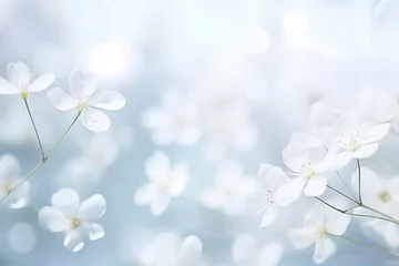 Fotobehang White flower garden comes with blurred white flower background. © Phaigraphic