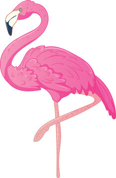 pink flamingo standing one leg clip art preview