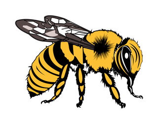 bee