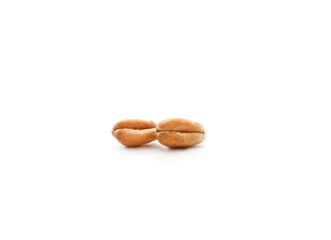Whole grain of wheat.