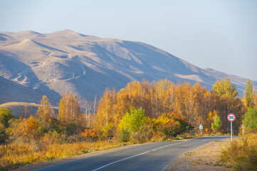Enjoy the stunning beauty of the autumn Tien Shan mountains. Breathtaking scenery with vibrant...