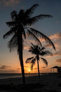 The sun sets over the ocean silhouetting a sailboat on the horizon
