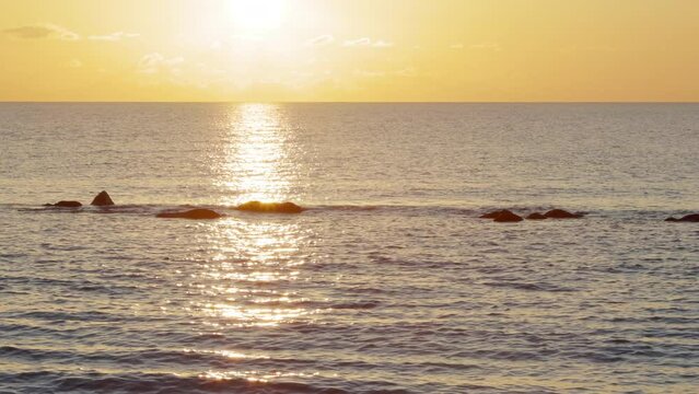 Seagull passing on sunset horizon seascape at sunset. 4K, 30 fps, h265, 4:2:2 10 bit.