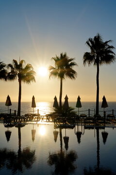 Poolside zum Sonnenaufgang mit Palmen im Hintergrund