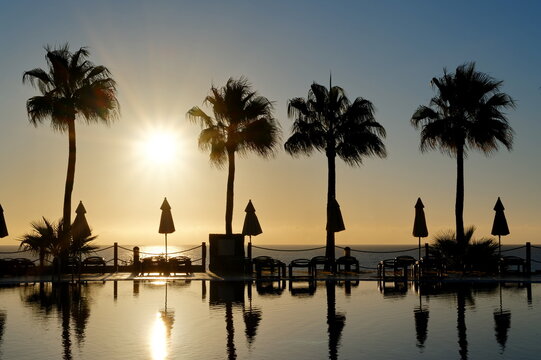 Am Pool bei Sonnenaufgang mit Palmen im Hintergrund