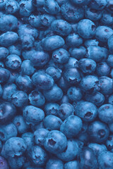 Fresh blueberry background. Texture blueberry berries close up.