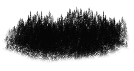 Black Forest