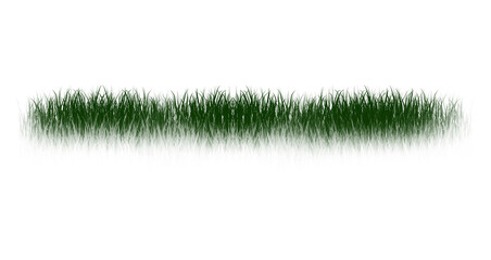 Grass, grass png transparent
