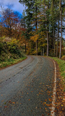 Enchanting Views of Lake Vyrnwy - Welsh Natural Splendor