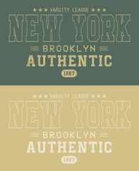 Vintage typography college league New York City state slogan print for graphic tee t shirt or sweatshirt - Vector