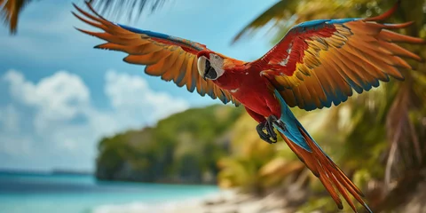 Zelfklevend Fotobehang flying parrot above a tropical island © Karat