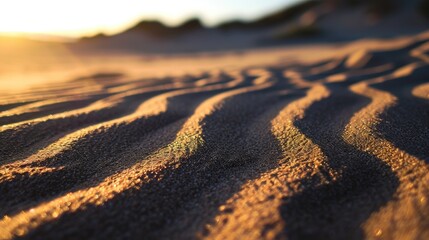 Sand texture. Sand background