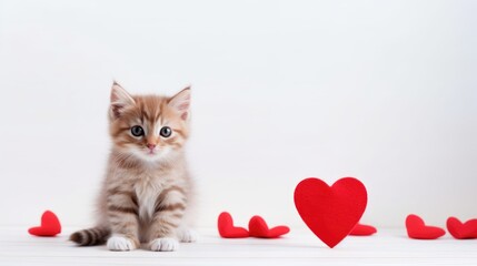 Cute little cat with a red heart-shaped on white background with copy space. 