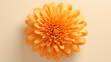 orange marigold flower