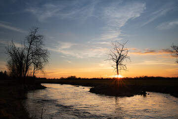 The sun sets behind a bare tree. It is evening. The horizon in the background. The sky is blue and orange. The sun's rays are shining. Water flowing in the foreground