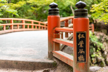 Forest at the Mount Misen