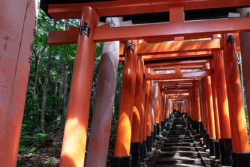 Red Torii gates in Fushimi Inari shrine