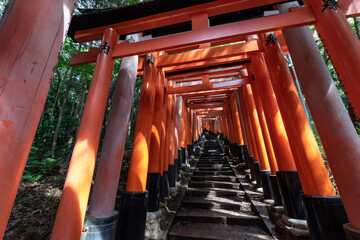 Red Torii gates in Fushimi Inari shrine